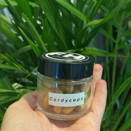 Cordyceps extract - 30g