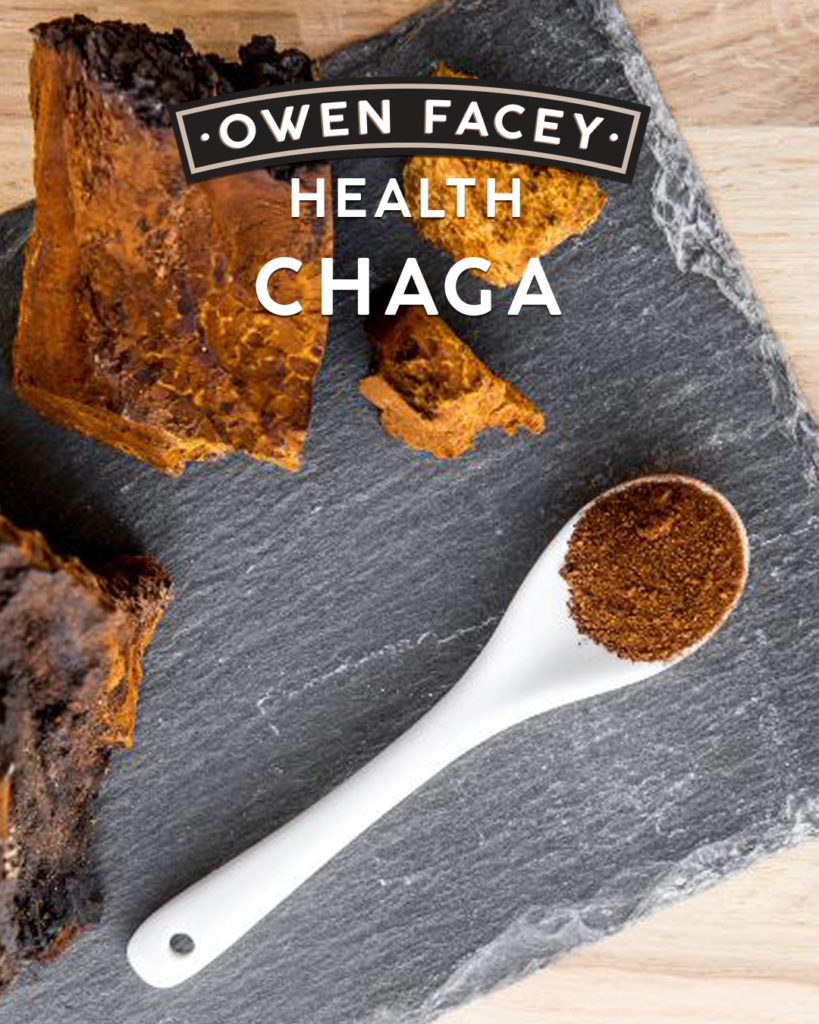 Chaga