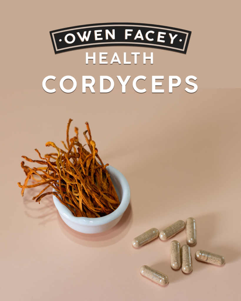 Cordyceps