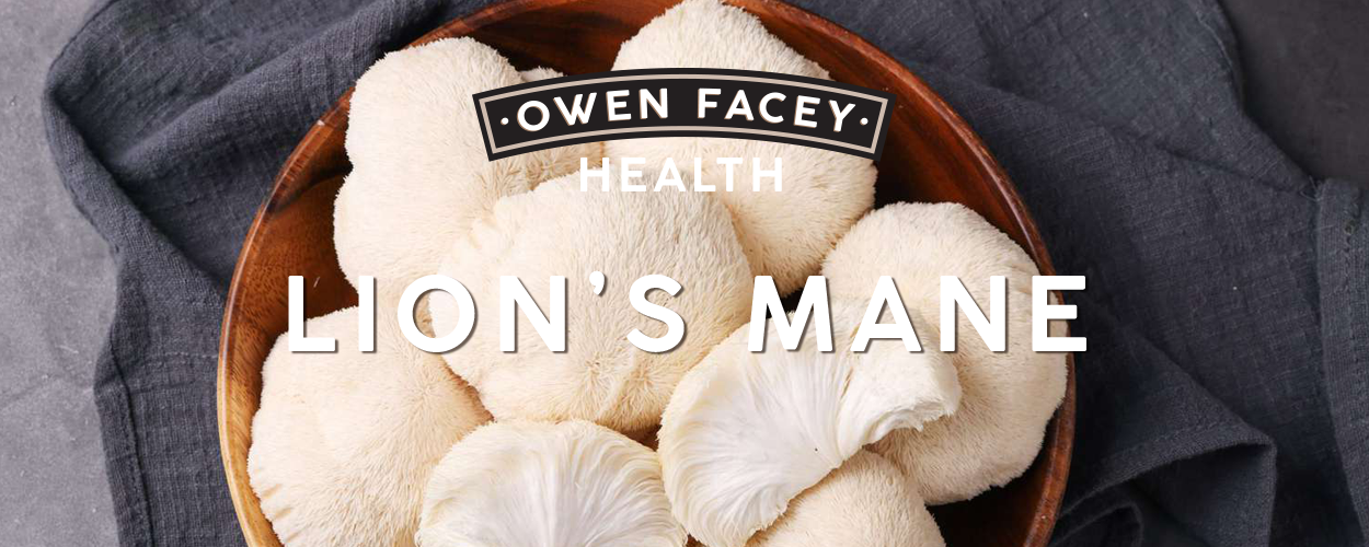 Lion’s Mane: The Ancient Mushroom for Modern Wellness