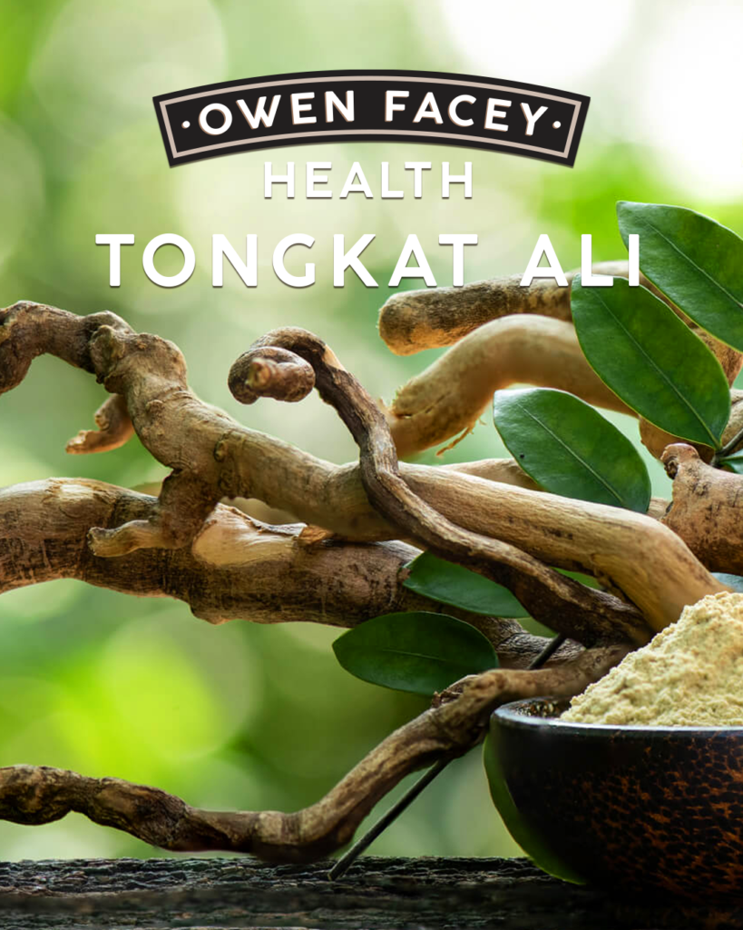 Tongkat Ali